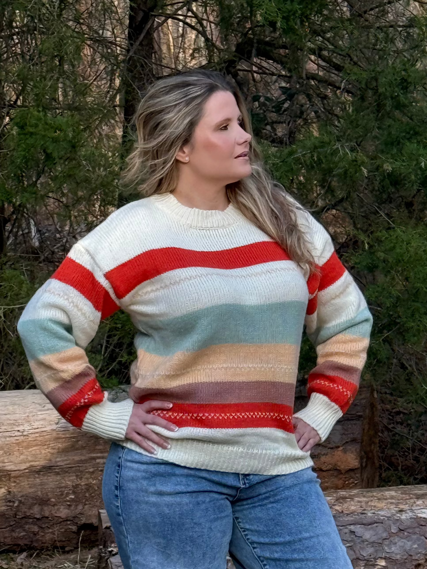 Eloise Sweater Comfy Multi-Color Striped